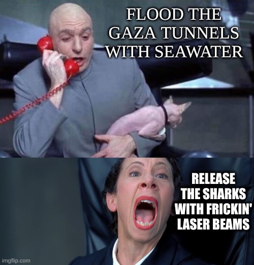 flood gaza | FLOOD THE GAZA TUNNELS WITH SEAWATER; RELEASE THE SHARKS WITH FRICKIN' LASER BEAMS | image tagged in dr evil and frau | made w/ Imgflip meme maker