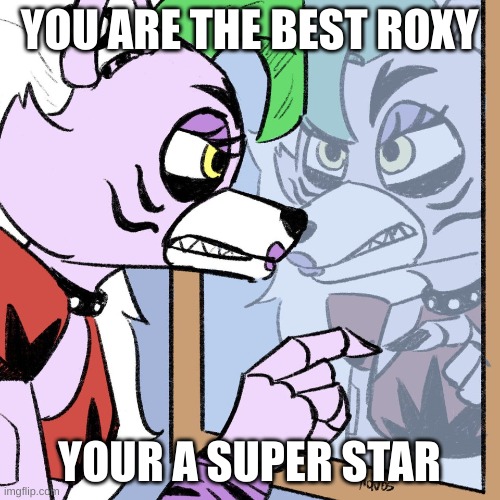 Roxy in the Mirror | YOU ARE THE BEST ROXY YOUR A SUPER STAR | image tagged in roxy in the mirror | made w/ Imgflip meme maker