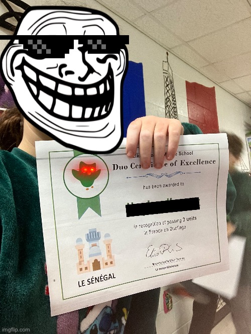 I got my Duo Certificate :)) | image tagged in duolingo,certified bruh moment,troll face | made w/ Imgflip meme maker