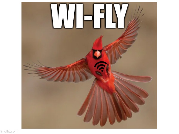 Or 'Fly-Why' | WI-FLY | image tagged in birds,wifi,internet | made w/ Imgflip meme maker