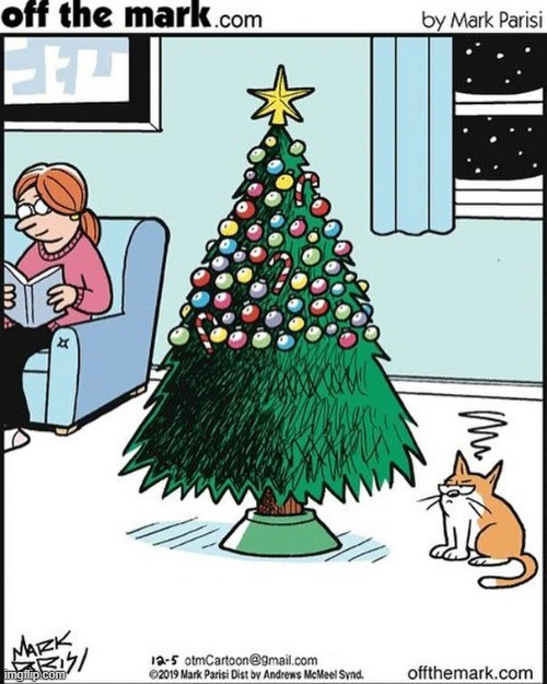 image tagged in memes,comics/cartoons,life is hard,cats,christmas tree,lights | made w/ Imgflip meme maker