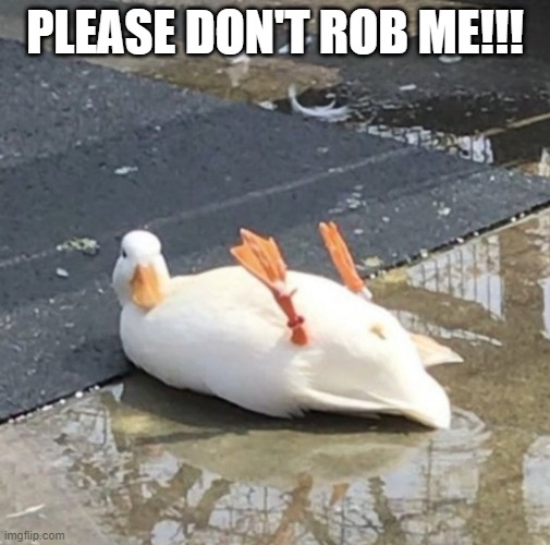 Webs Up | PLEASE DON'T ROB ME!!! | image tagged in ducks | made w/ Imgflip meme maker