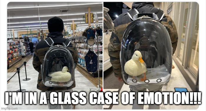 Duck Bubble | I'M IN A GLASS CASE OF EMOTION!!! | image tagged in ducks | made w/ Imgflip meme maker