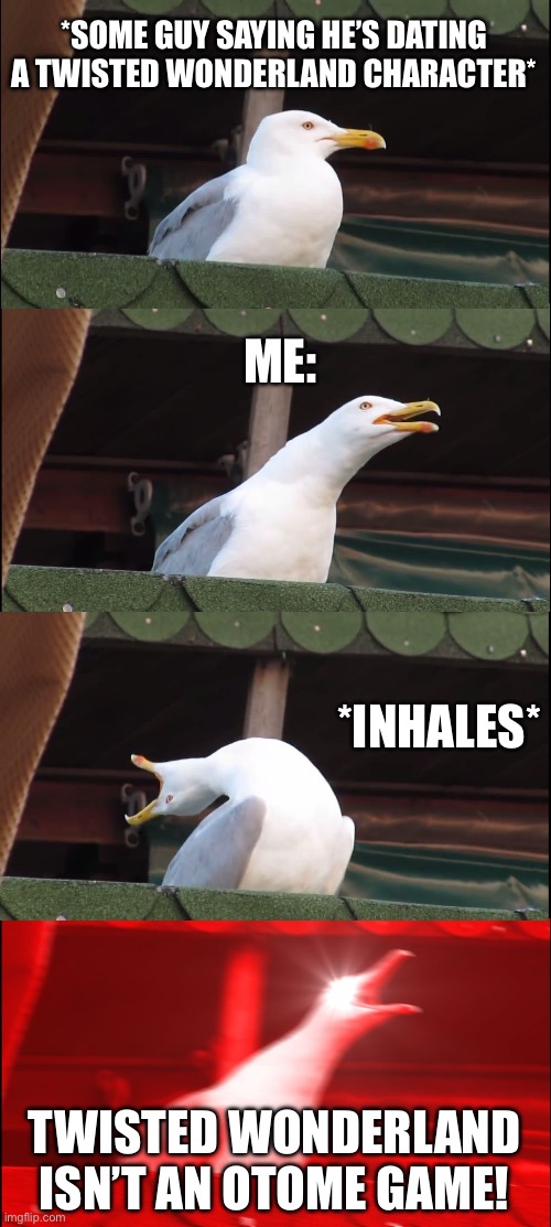 Inhaling Seagull | *SOME GUY SAYING HE’S DATING A TWISTED WONDERLAND CHARACTER*; ME:; *INHALES*; TWISTED WONDERLAND ISN’T AN OTOME GAME! | image tagged in memes,inhaling seagull | made w/ Imgflip meme maker