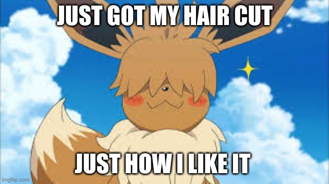 :D | JUST GOT MY HAIR CUT; JUST HOW I LIKE IT | image tagged in eevee | made w/ Imgflip meme maker