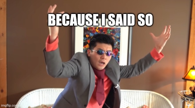WHAT THE HAIL?! | BECAUSE I SAID SO | image tagged in what the hail | made w/ Imgflip meme maker