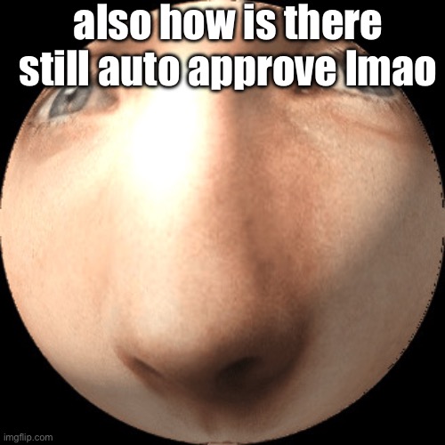 logan ball | also how is there still auto approve lmao | image tagged in logan ball | made w/ Imgflip meme maker