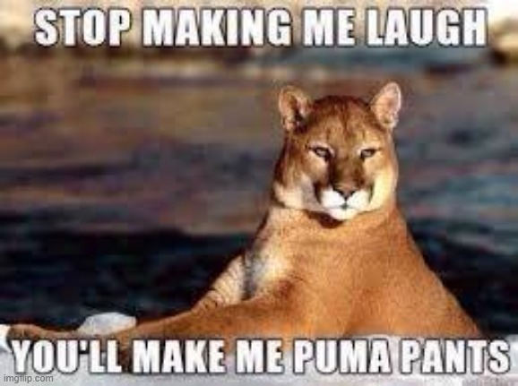 No Laughing | image tagged in repost | made w/ Imgflip meme maker