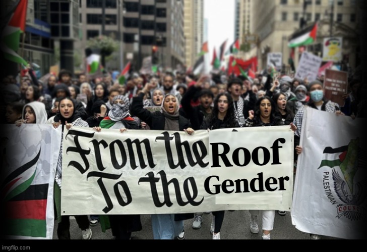 Does not matter to me | Gender; Roof | image tagged in islam,islamic state,anti islamophobia,gay,transgender,gender | made w/ Imgflip meme maker
