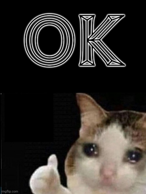 Cat ok | OK | image tagged in cat ok | made w/ Imgflip meme maker