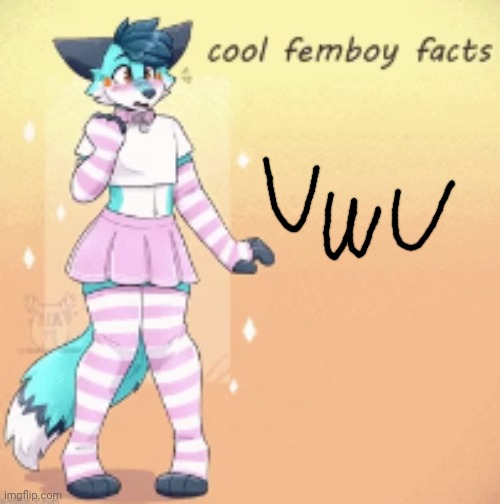 cool femboy facts | image tagged in cool femboy facts | made w/ Imgflip meme maker