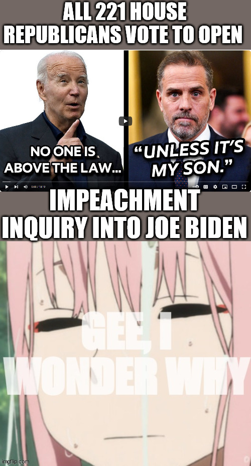 Gee... I wonder why... | ALL 221 HOUSE REPUBLICANS VOTE TO OPEN; IMPEACHMENT INQUIRY INTO JOE BIDEN | image tagged in gee i wonder why,biden,crime,family | made w/ Imgflip meme maker