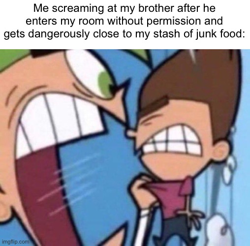 You can’t blame me for thinking he was gonna steal my hot Cheetos | Me screaming at my brother after he enters my room without permission and gets dangerously close to my stash of junk food: | image tagged in cosmo yelling at timmy,junk food,siblings | made w/ Imgflip meme maker