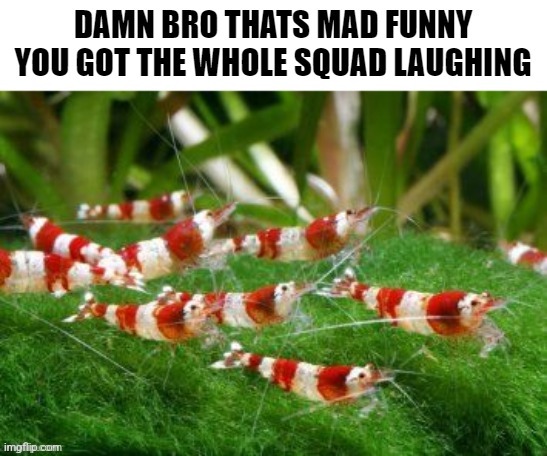 image tagged in shrompler army | made w/ Imgflip meme maker