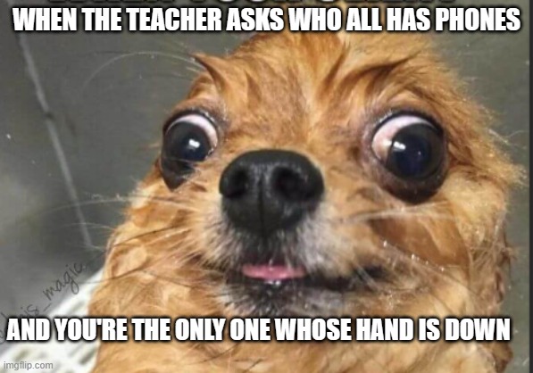 True Story. It happened to me last week. | WHEN THE TEACHER ASKS WHO ALL HAS PHONES; AND YOU'RE THE ONLY ONE WHOSE HAND IS DOWN | image tagged in true story | made w/ Imgflip meme maker