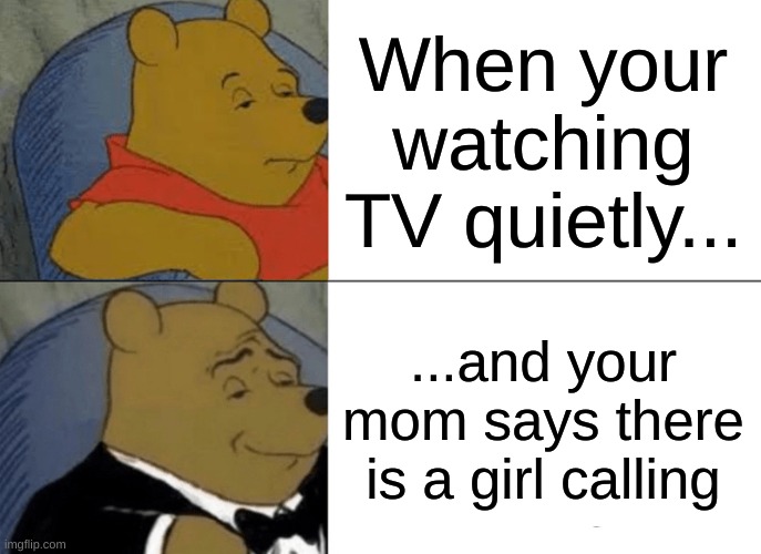 idk just vote | When your watching TV quietly... ...and your mom says there is a girl calling | image tagged in memes,tuxedo winnie the pooh | made w/ Imgflip meme maker