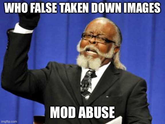 Somebody’s abusing mod | WHO FALSE TAKEN DOWN IMAGES; MOD ABUSE | image tagged in memes,too damn high | made w/ Imgflip meme maker