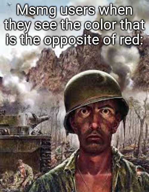 Thousand Yard Stare | Msmg users when they see the color that is the opposite of red: | image tagged in thousand yard stare | made w/ Imgflip meme maker