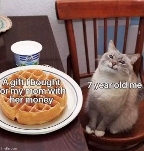 cat | image tagged in memes,cat,waffles | made w/ Imgflip meme maker