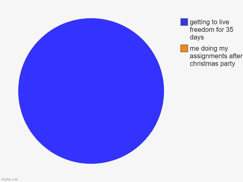 freedom | me doing my assignments after christmas party, getting to live freedom for 35 days | image tagged in charts,pie charts | made w/ Imgflip chart maker