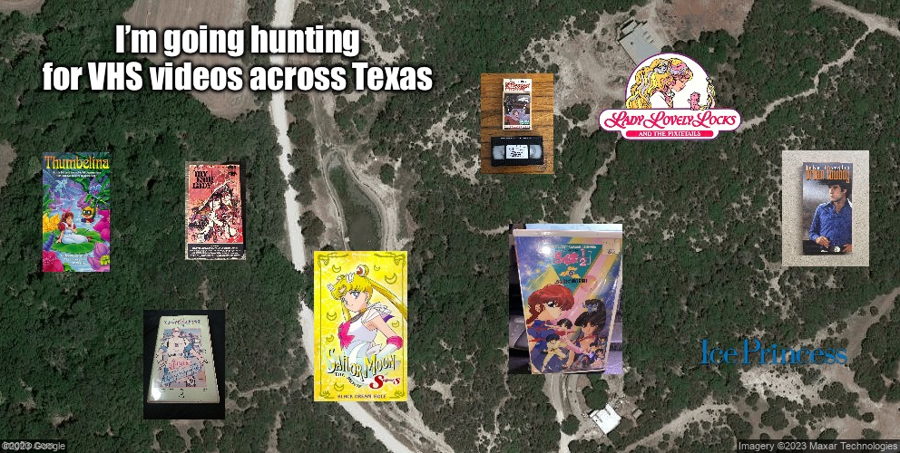 VHS Hunting Across Texas | I’m going hunting for VHS videos across Texas | image tagged in vhs,hunting,collection,sailor moon,disney,deviantart | made w/ Imgflip meme maker