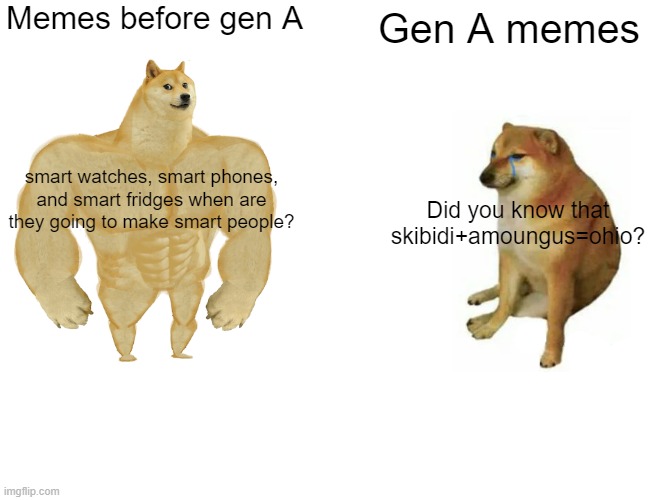 Gen a memes suck | Memes before gen A; Gen A memes; smart watches, smart phones, and smart fridges when are they going to make smart people? Did you know that skibidi+amoungus=ohio? | image tagged in memes,buff doge vs cheems | made w/ Imgflip meme maker