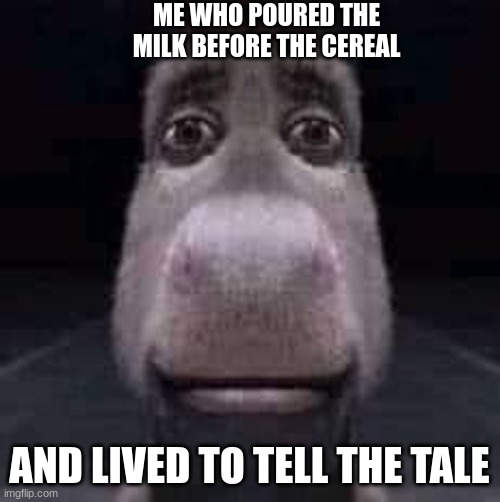 Donkey staring | ME WHO POURED THE MILK BEFORE THE CEREAL AND LIVED TO TELL THE TALE | image tagged in donkey staring | made w/ Imgflip meme maker