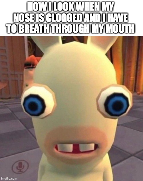 help i cant breath | HOW I LOOK WHEN MY NOSE IS CLOGGED AND I HAVE TO BREATH THROUGH MY MOUTH | image tagged in sick | made w/ Imgflip meme maker