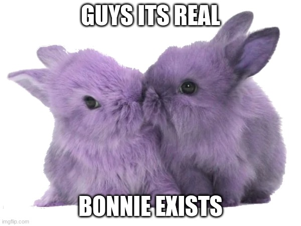 purpur bunnies | GUYS ITS REAL; BONNIE EXISTS | image tagged in fnaf,fnaf_bonnie | made w/ Imgflip meme maker
