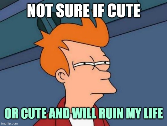 When I look at a new cat or new lover | NOT SURE IF CUTE; OR CUTE AND WILL RUIN MY LIFE | image tagged in memes,futurama fry | made w/ Imgflip meme maker
