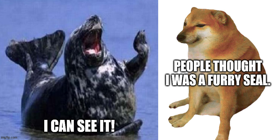 Cheems and laughing seal shooting the shit | PEOPLE THOUGHT I WAS A FURRY SEAL. I CAN SEE IT! | image tagged in cheems entertains laughing seal,cheems,seal,laughing,conversation,memes | made w/ Imgflip meme maker