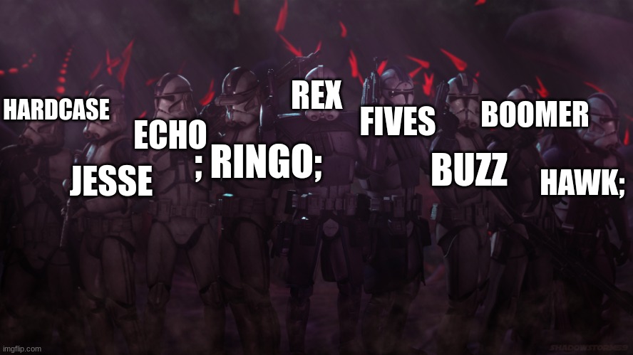 501st | HARDCASE; BOOMER; FIVES; REX; ECHO; ; RINGO;; JESSE; HAWK;; BUZZ | image tagged in 501st | made w/ Imgflip meme maker