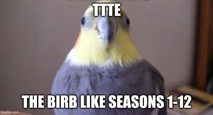 birb thomas | TTTE; THE BIRB LIKE SEASONS 1-12 | image tagged in birb | made w/ Imgflip meme maker