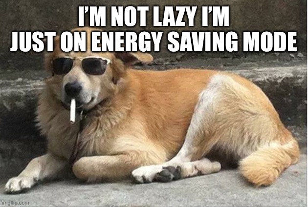 Doggg | I’M NOT LAZY I’M JUST ON ENERGY SAVING MODE | image tagged in smoking dog with sunglasses | made w/ Imgflip meme maker