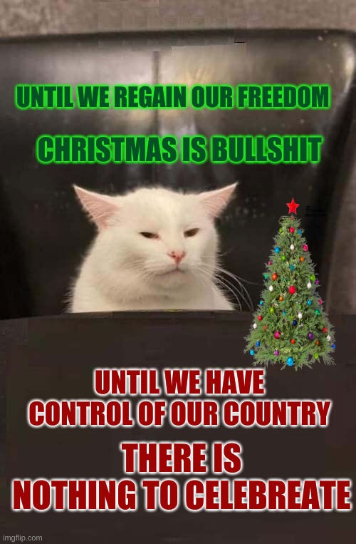 Smudge, Stay Kitty | UNTIL WE REGAIN OUR FREEDOM; CHRISTMAS IS BULLSHIT; UNTIL WE HAVE CONTROL OF OUR COUNTRY; THERE IS NOTHING TO CELEBREATE | image tagged in smudge stay kitty,smudge the cat,christmas,your country needs you,freedom,free speech | made w/ Imgflip meme maker