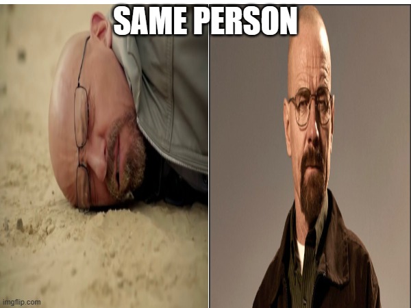 same person | SAME PERSON | image tagged in walter white | made w/ Imgflip meme maker
