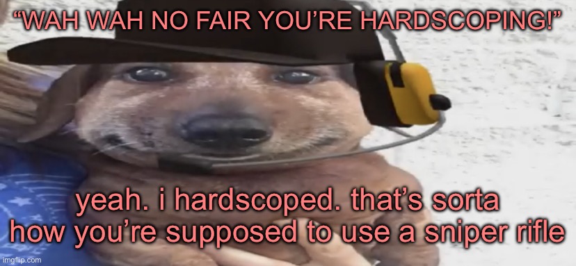 idiots | “WAH WAH NO FAIR YOU’RE HARDSCOPING!”; yeah. i hardscoped. that’s sorta how you’re supposed to use a sniper rifle | image tagged in chucklenuts | made w/ Imgflip meme maker