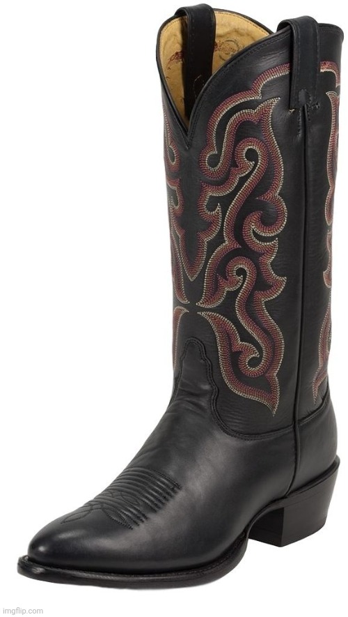 Black cowboy boot | image tagged in black cowboy boot | made w/ Imgflip meme maker