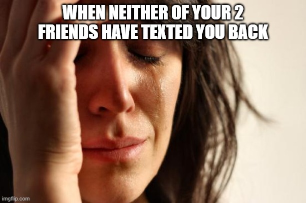 First World Problems | WHEN NEITHER OF YOUR 2 FRIENDS HAVE TEXTED YOU BACK | image tagged in memes,first world problems | made w/ Imgflip meme maker
