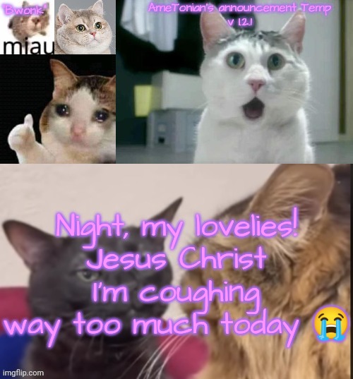 AmeTonian's announcement Temp v 1.2.1 | Night, my lovelies!
Jesus Christ I'm coughing way too much today 😭 | image tagged in ametonian's announcement temp v 1 2 1 | made w/ Imgflip meme maker