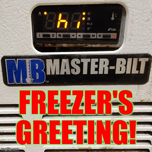 Boss didn't think it was quite as funny as I did. Ice cream started melting. We had to move everything to the storage freezers. | FREEZER'S GREETING! | image tagged in freezer says hi,memes,seasons,greetings,angry,boss | made w/ Imgflip meme maker