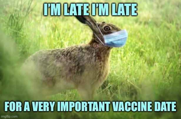 Corona Bunny | I’M LATE I’M LATE FOR A VERY IMPORTANT VACCINE DATE | image tagged in corona bunny | made w/ Imgflip meme maker