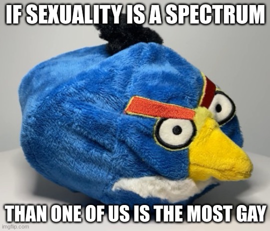 Prototype Chuck Plush | IF SEXUALITY IS A SPECTRUM; THAN ONE OF US IS THE MOST GAY | image tagged in prototype chuck plush | made w/ Imgflip meme maker