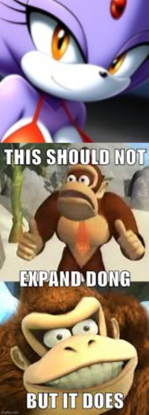 image tagged in this should not expand dong but it does | made w/ Imgflip meme maker