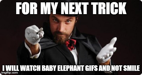 Household Magician | FOR MY NEXT TRICK I WILL WATCH BABY ELEPHANT GIFS AND NOT SMILE | image tagged in household magician,AdviceAnimals | made w/ Imgflip meme maker