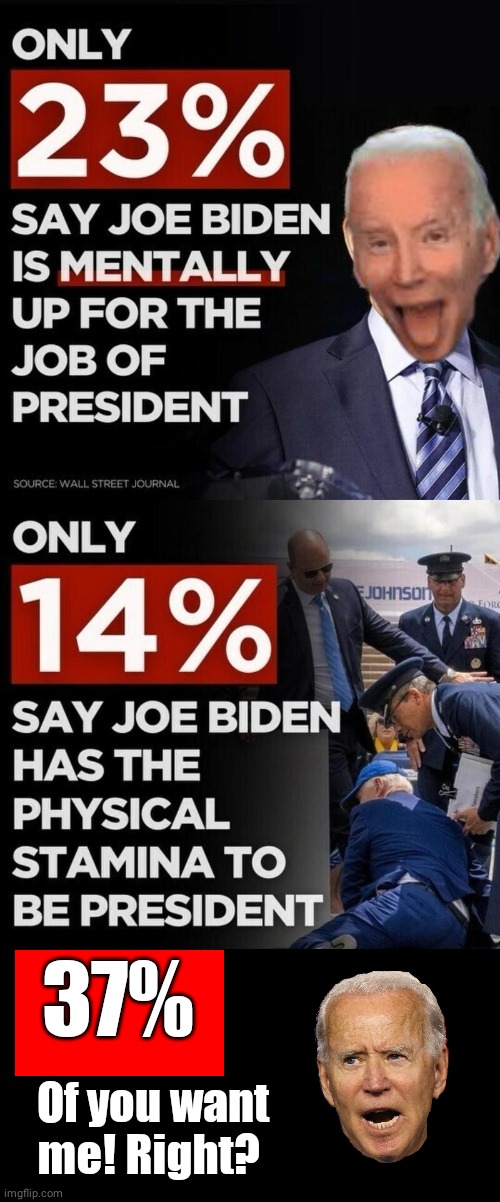 Biden poll numbers are up | 37%; Of you want me! Right? | image tagged in black box,joe biden | made w/ Imgflip meme maker