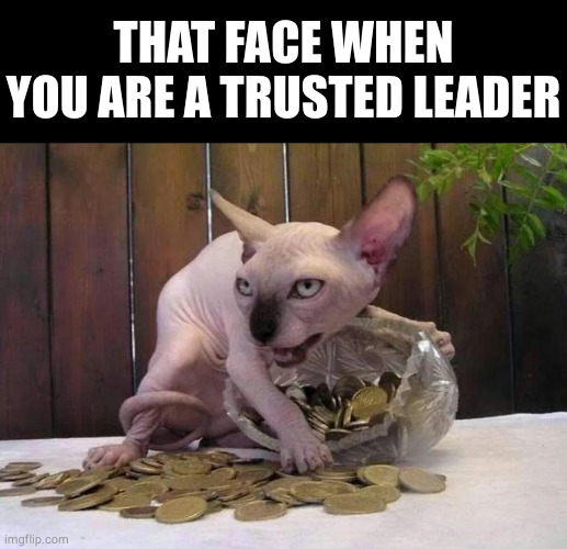 tale as old as time | THAT FACE WHEN YOU ARE A TRUSTED LEADER | image tagged in memes | made w/ Imgflip meme maker