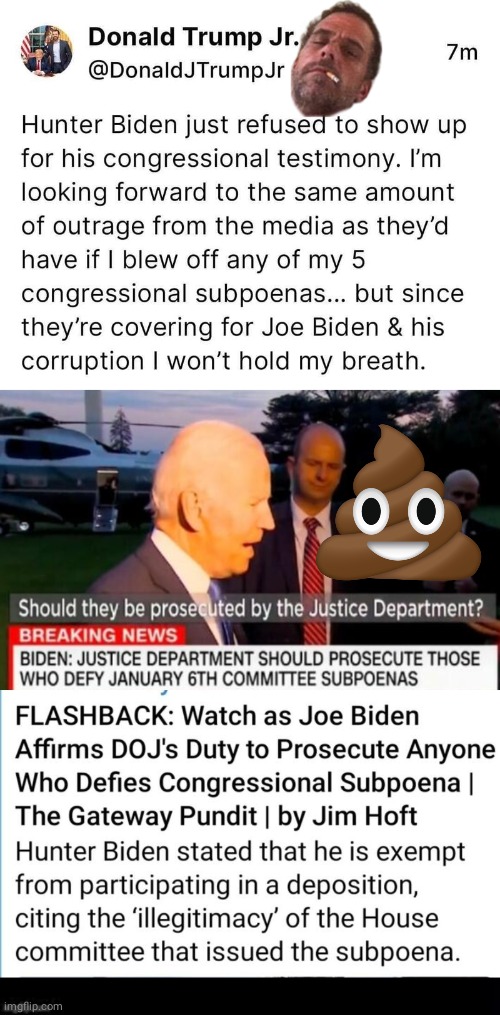 Hunter Biden blew off subpeona | image tagged in black box meme,joe biden,double standards | made w/ Imgflip meme maker