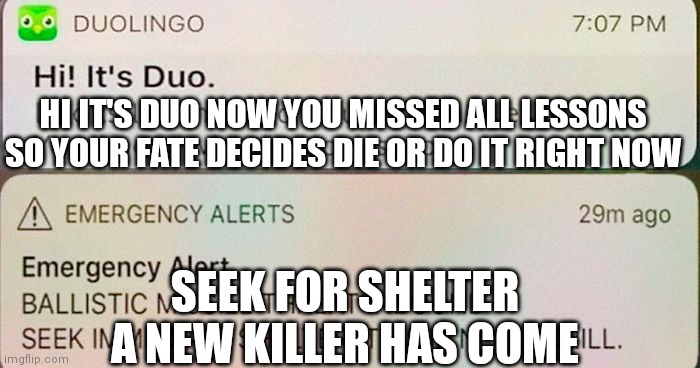 duolingoo | SEEK FOR SHELTER A NEW KILLER HAS COME; HI IT'S DUO NOW YOU MISSED ALL LESSONS SO YOUR FATE DECIDES DIE OR DO IT RIGHT NOW | image tagged in duolingoo | made w/ Imgflip meme maker