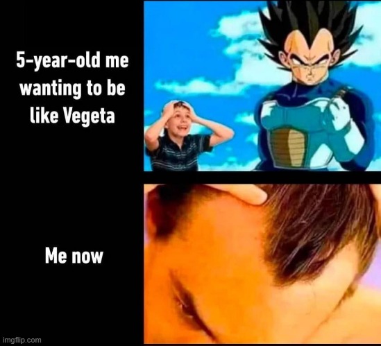 5-year-old me wanting to be like Vegeta | image tagged in anime,dragon ball z,vegeta,funny,baldness,kid | made w/ Imgflip meme maker